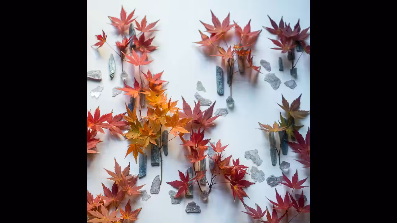 Autumn Leaves: Video.
