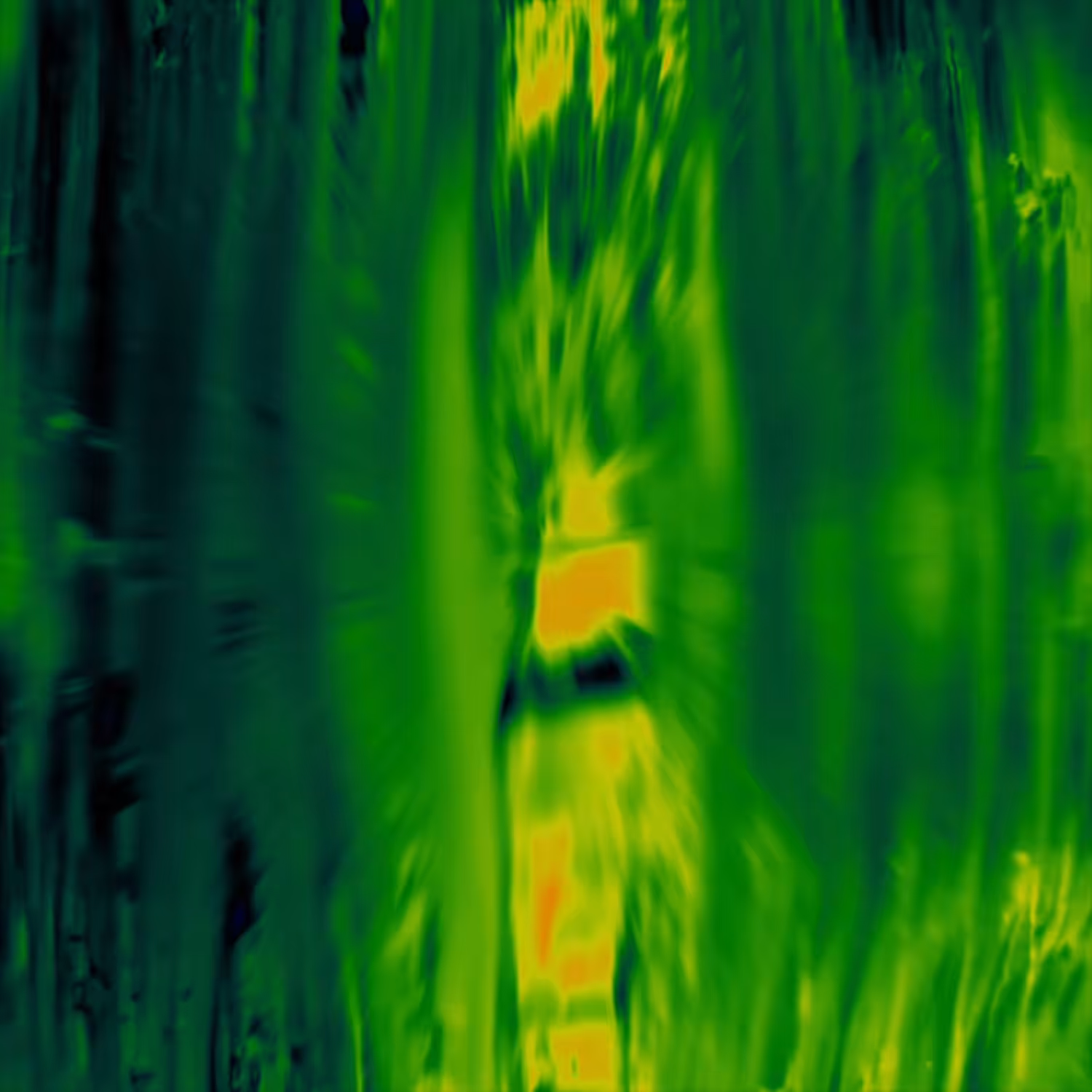 aliens_in_the_woods