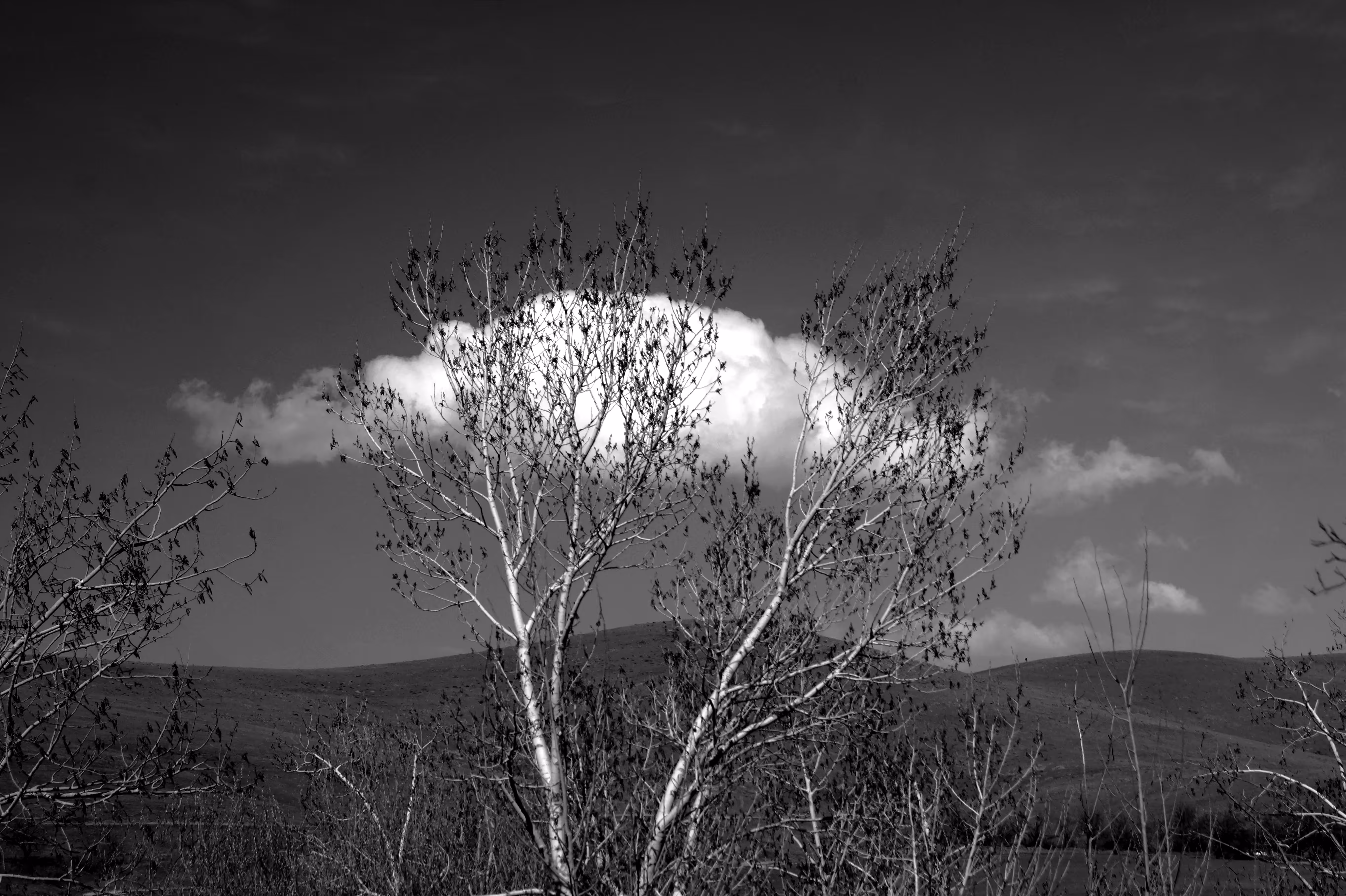 Meeting the cloud