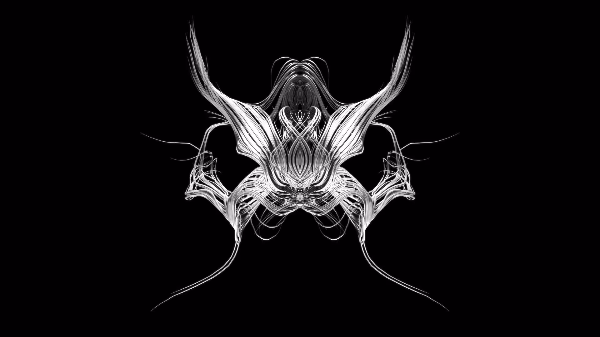 Entropy 41
