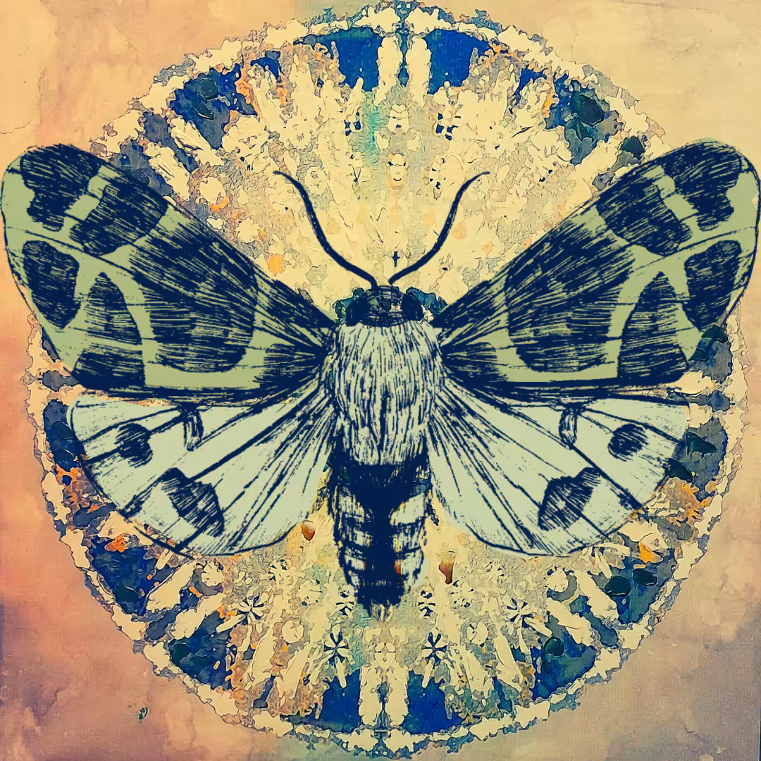 Moth