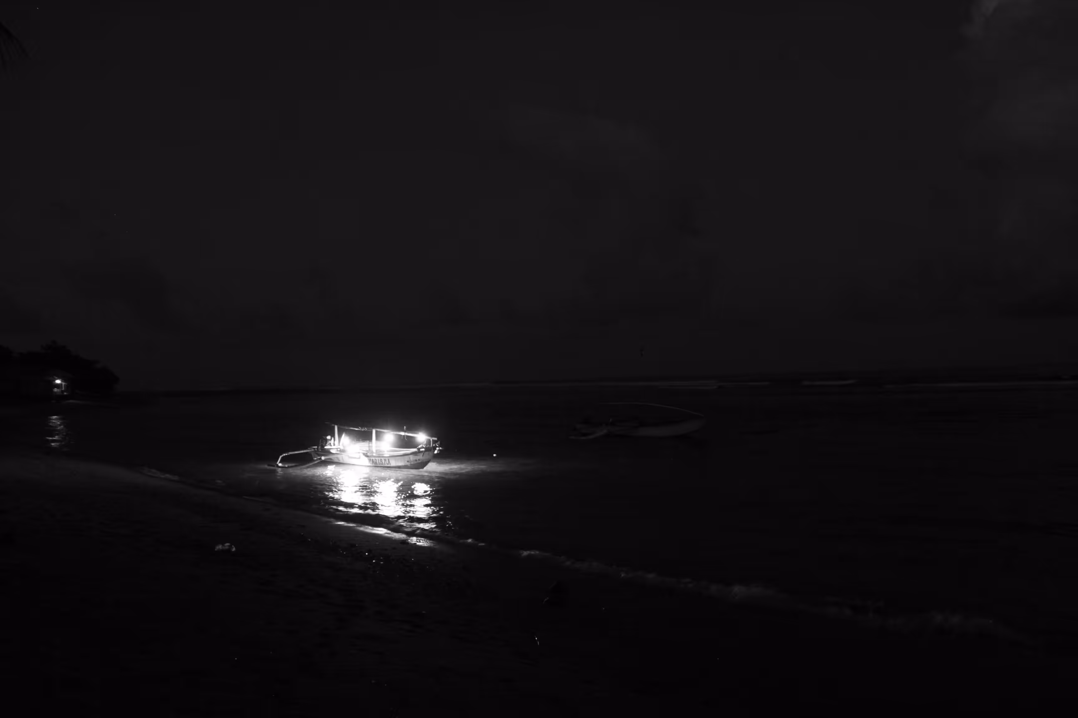 Into the Night