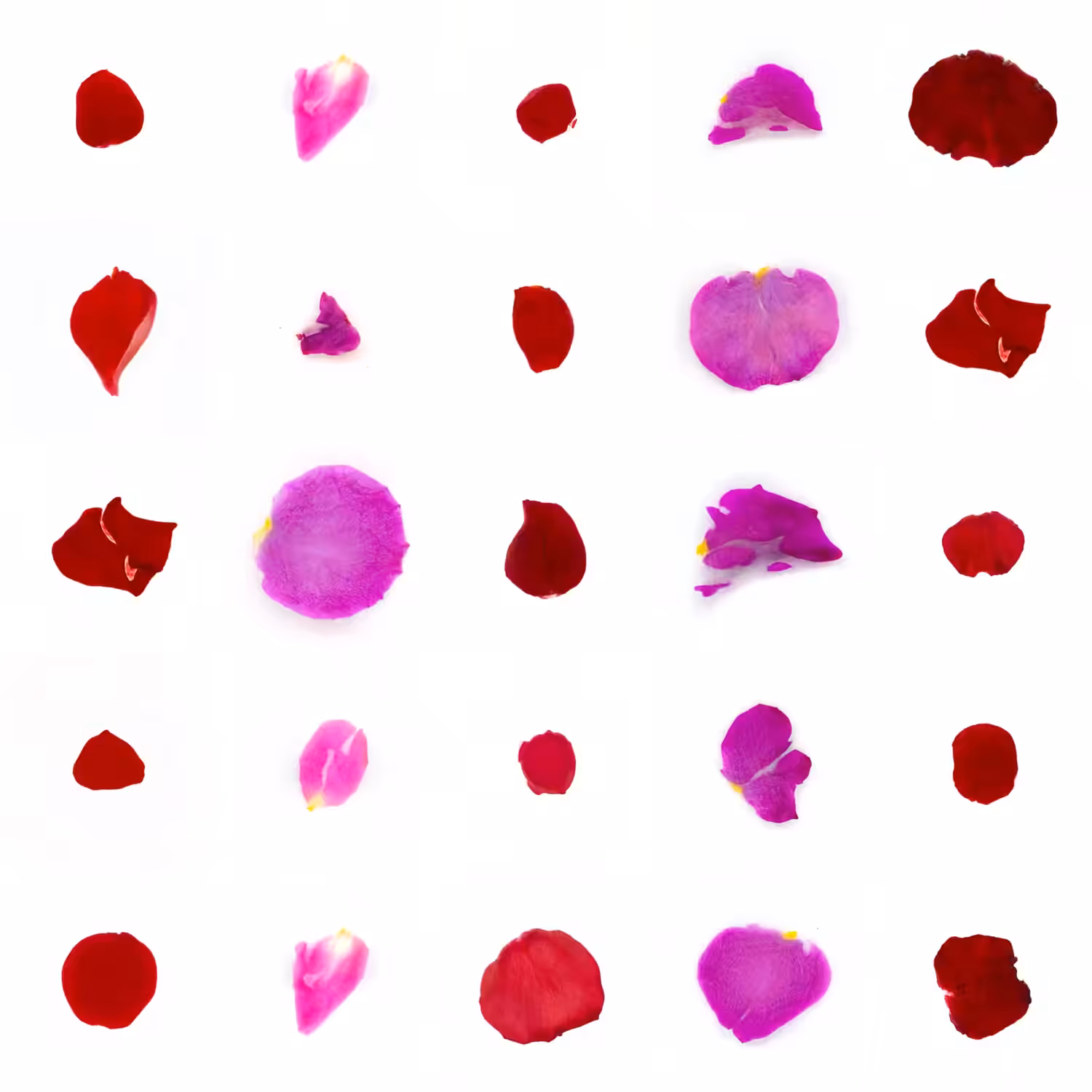 Infinite Petals 5x5#20400