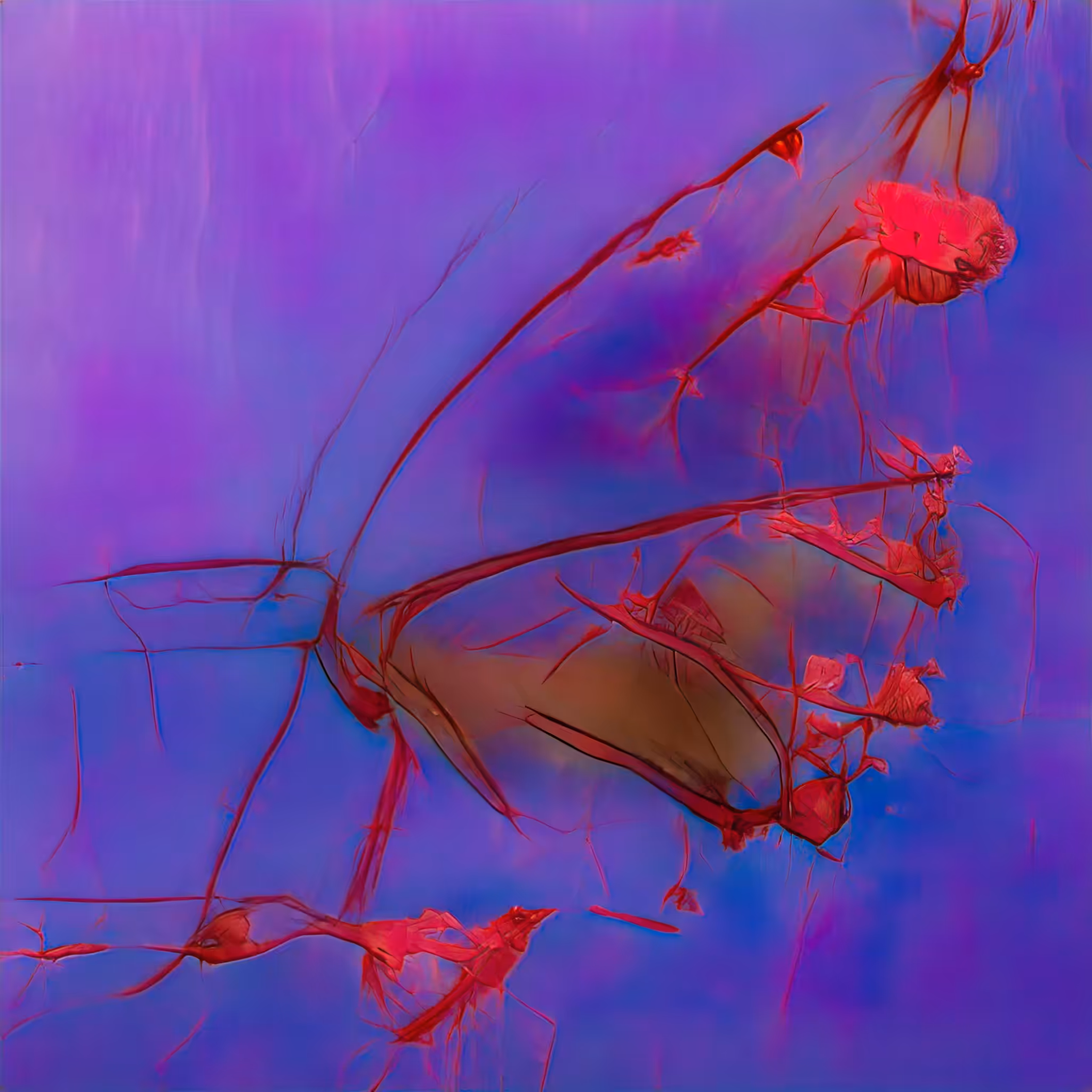 Emergent Finale 00305
