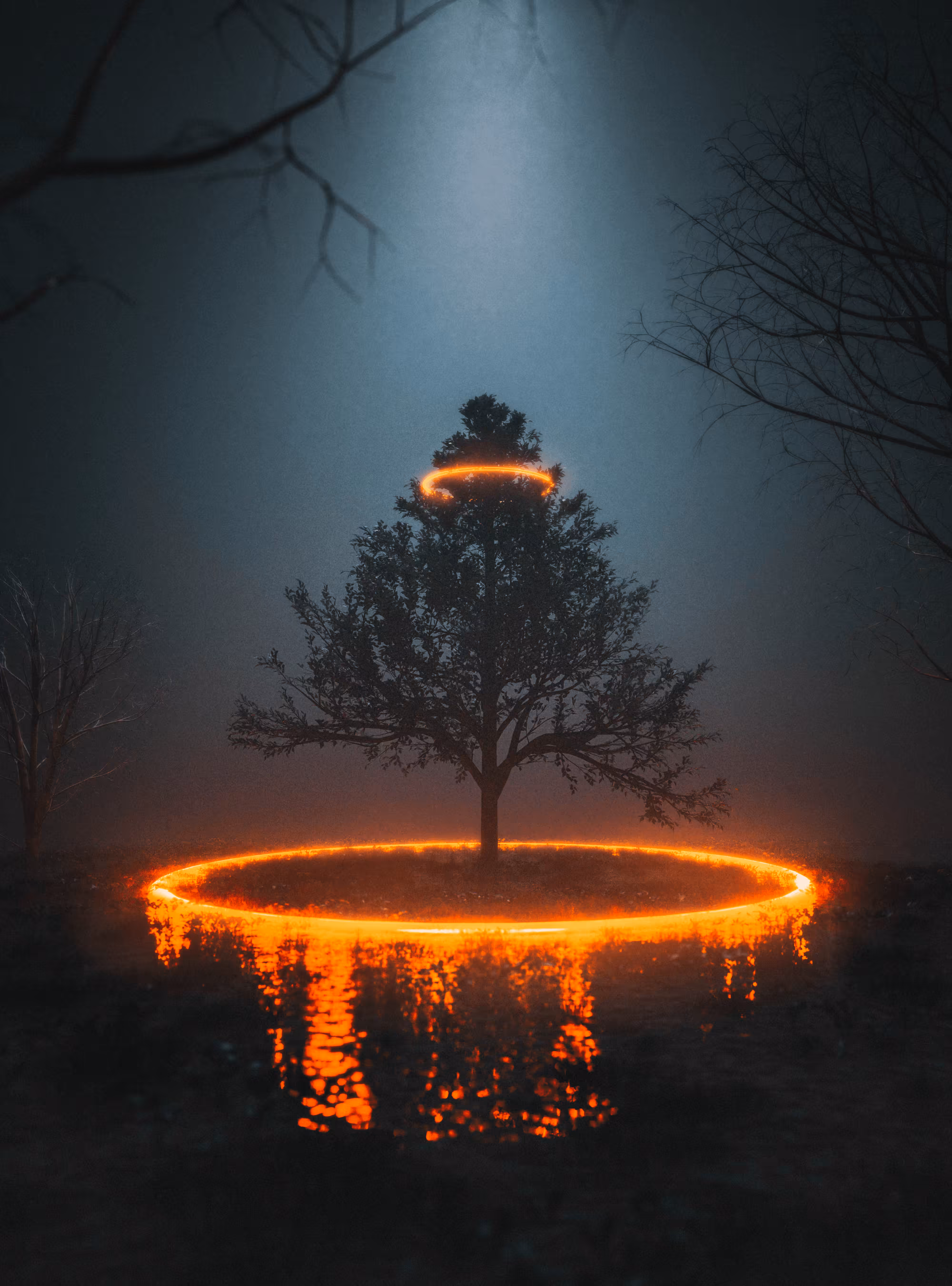 Tree #26