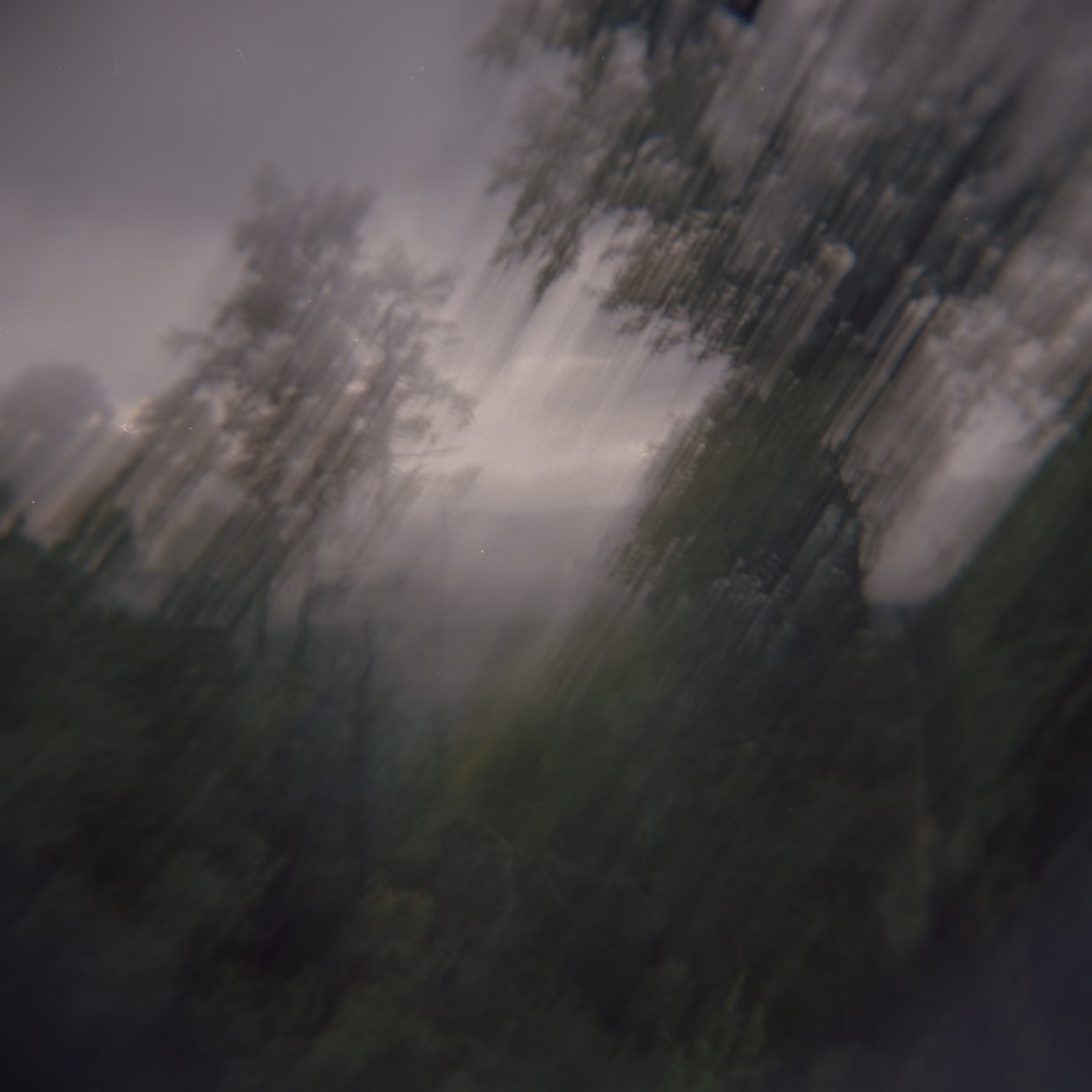 Shot on Holga #13: Blurred Lines