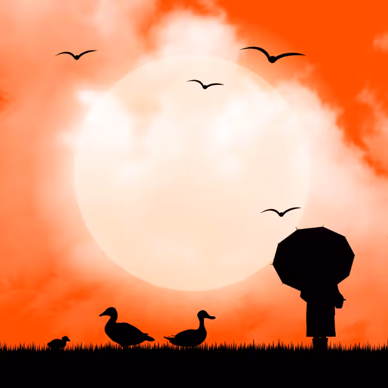 We Care...Duck #7