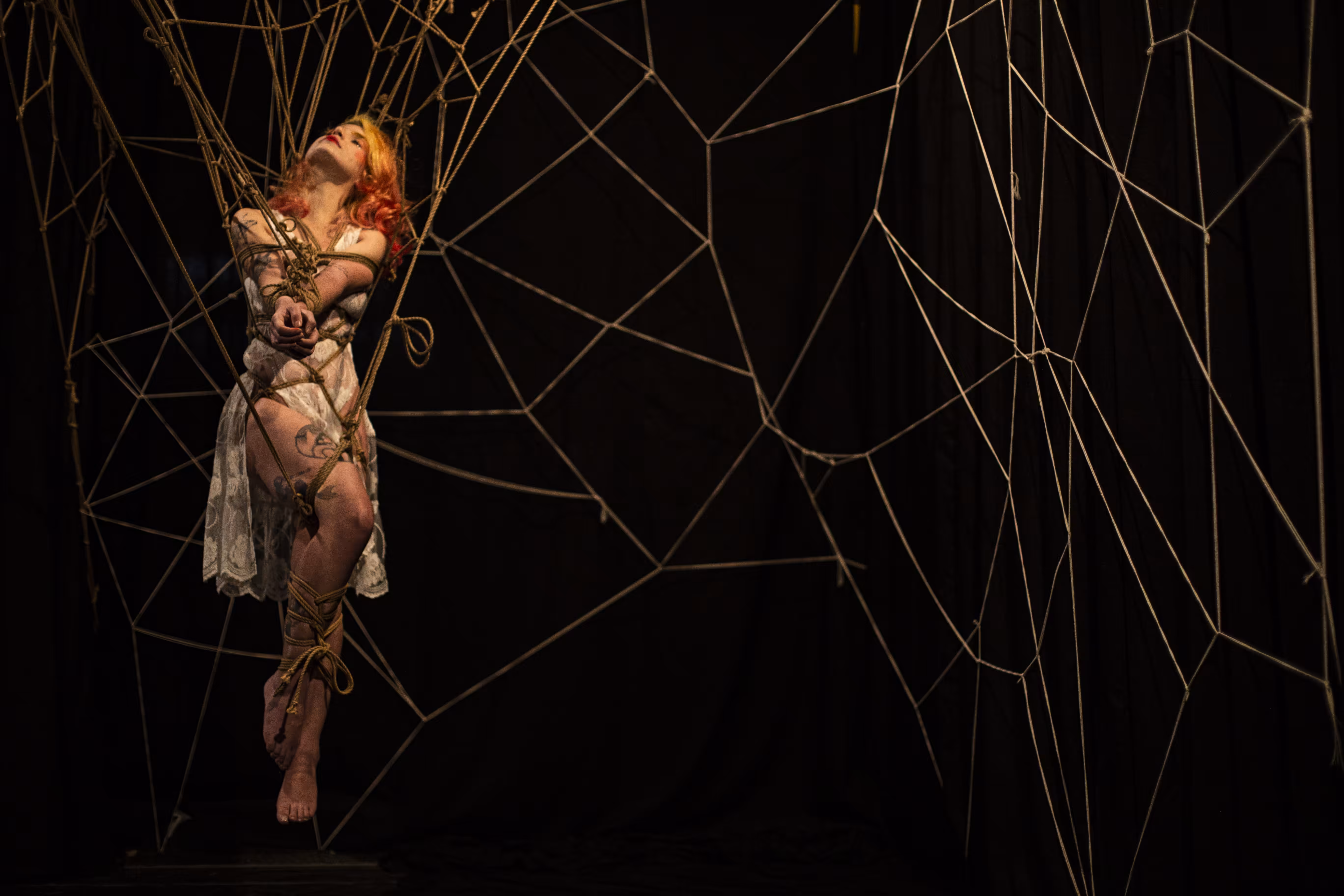 Web #4