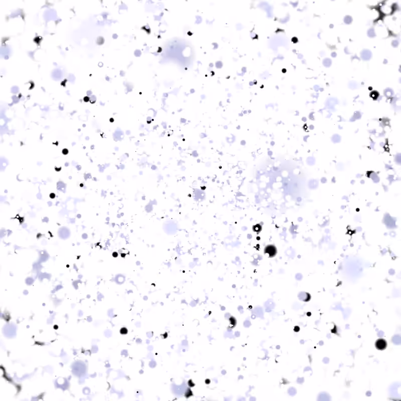 Coalesce #67