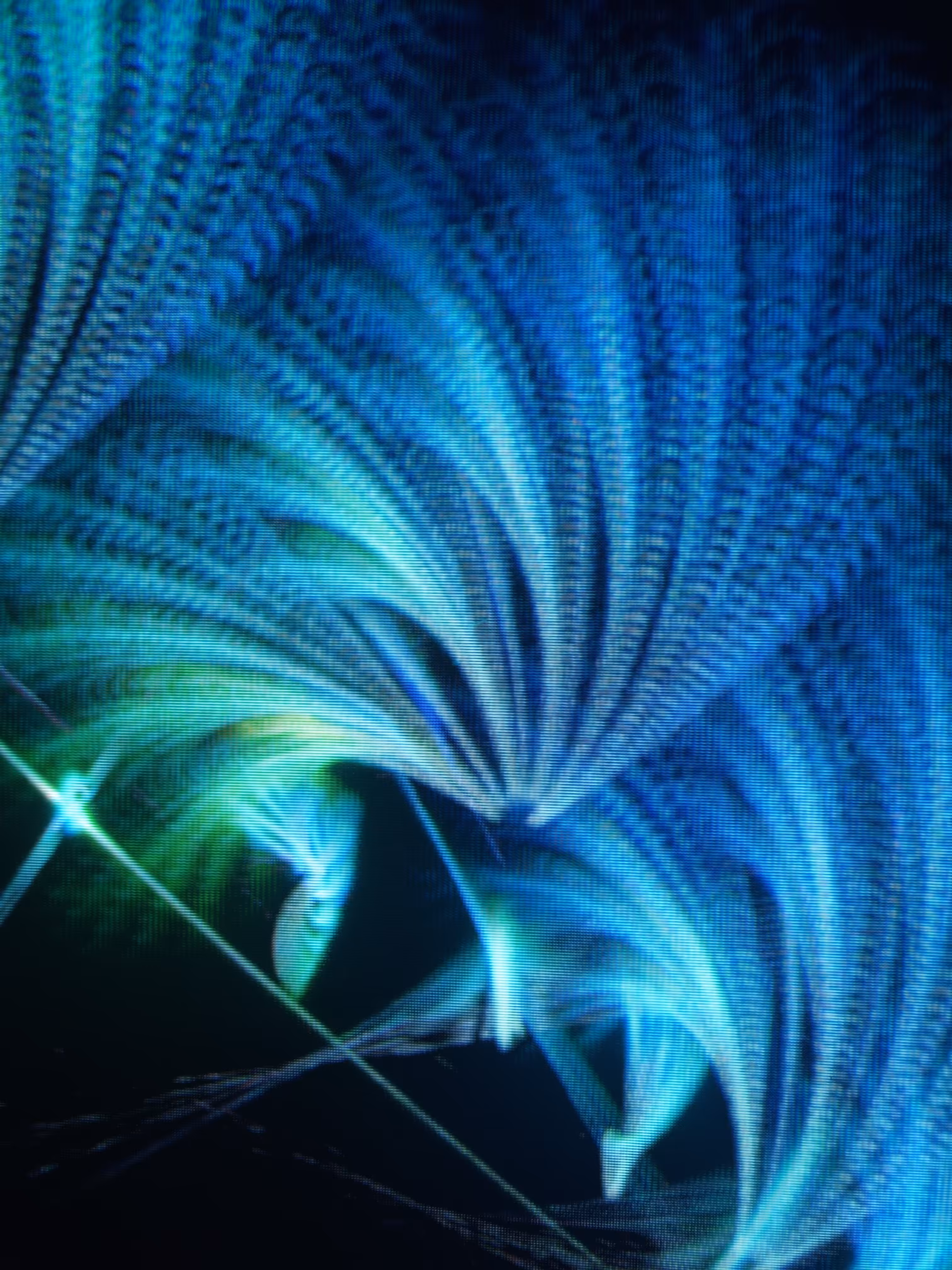 electron beam aurora