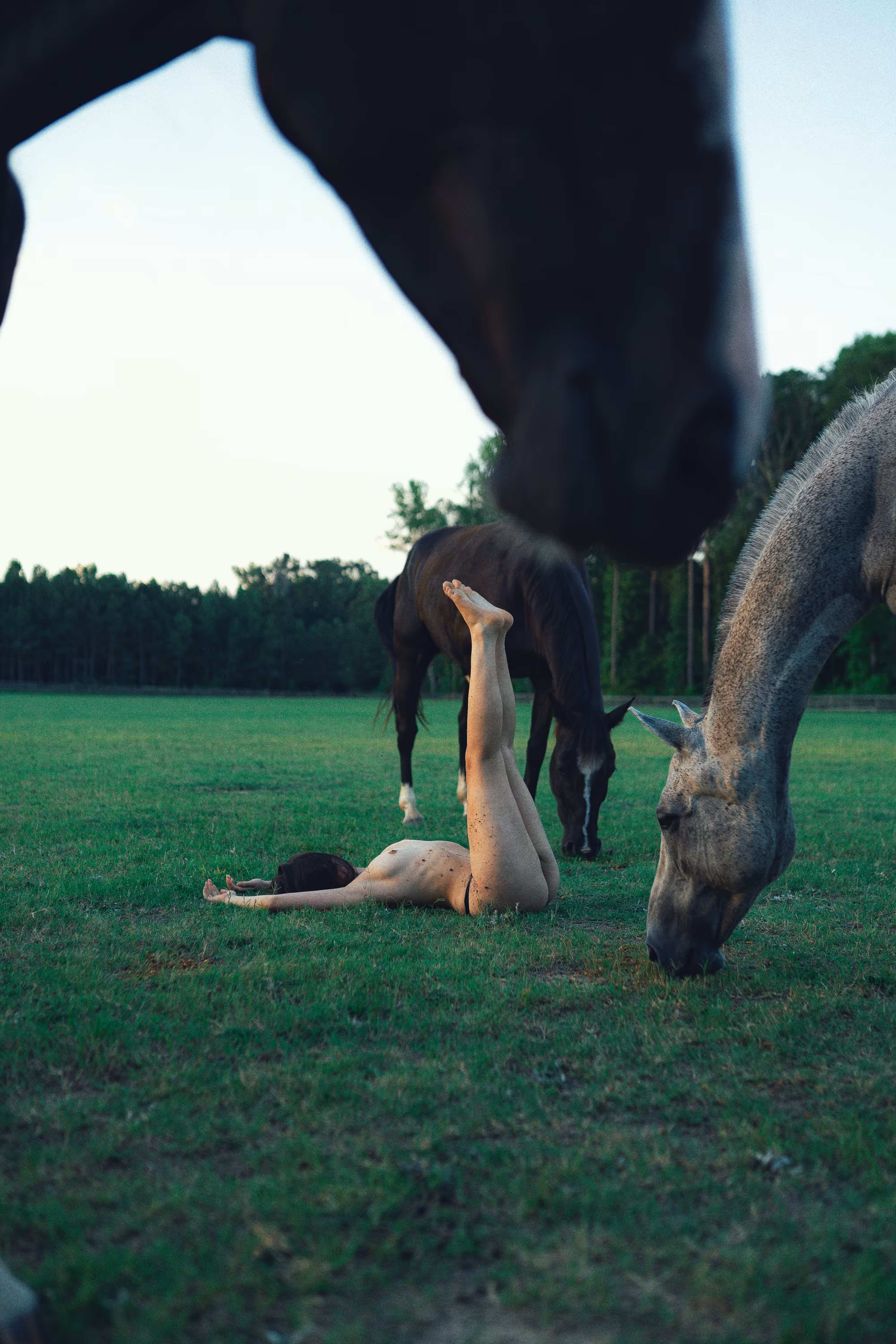 Horsing around