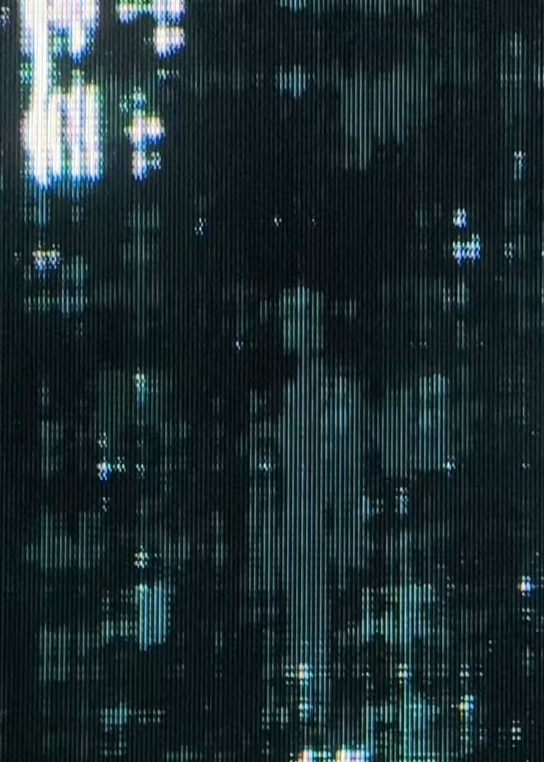 statiq #004