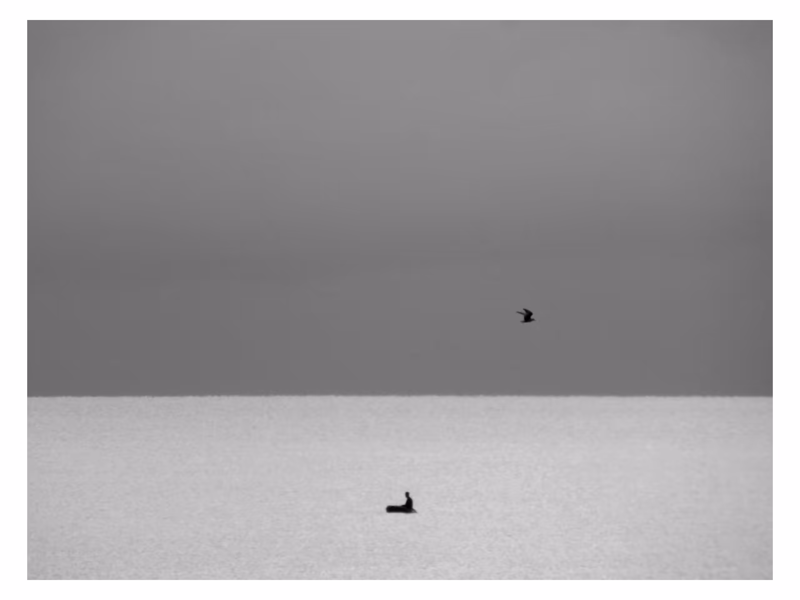 The Fisherman