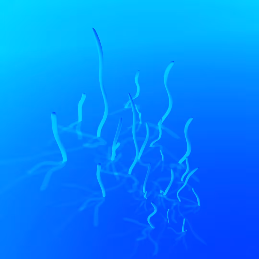 Solid Flow 2