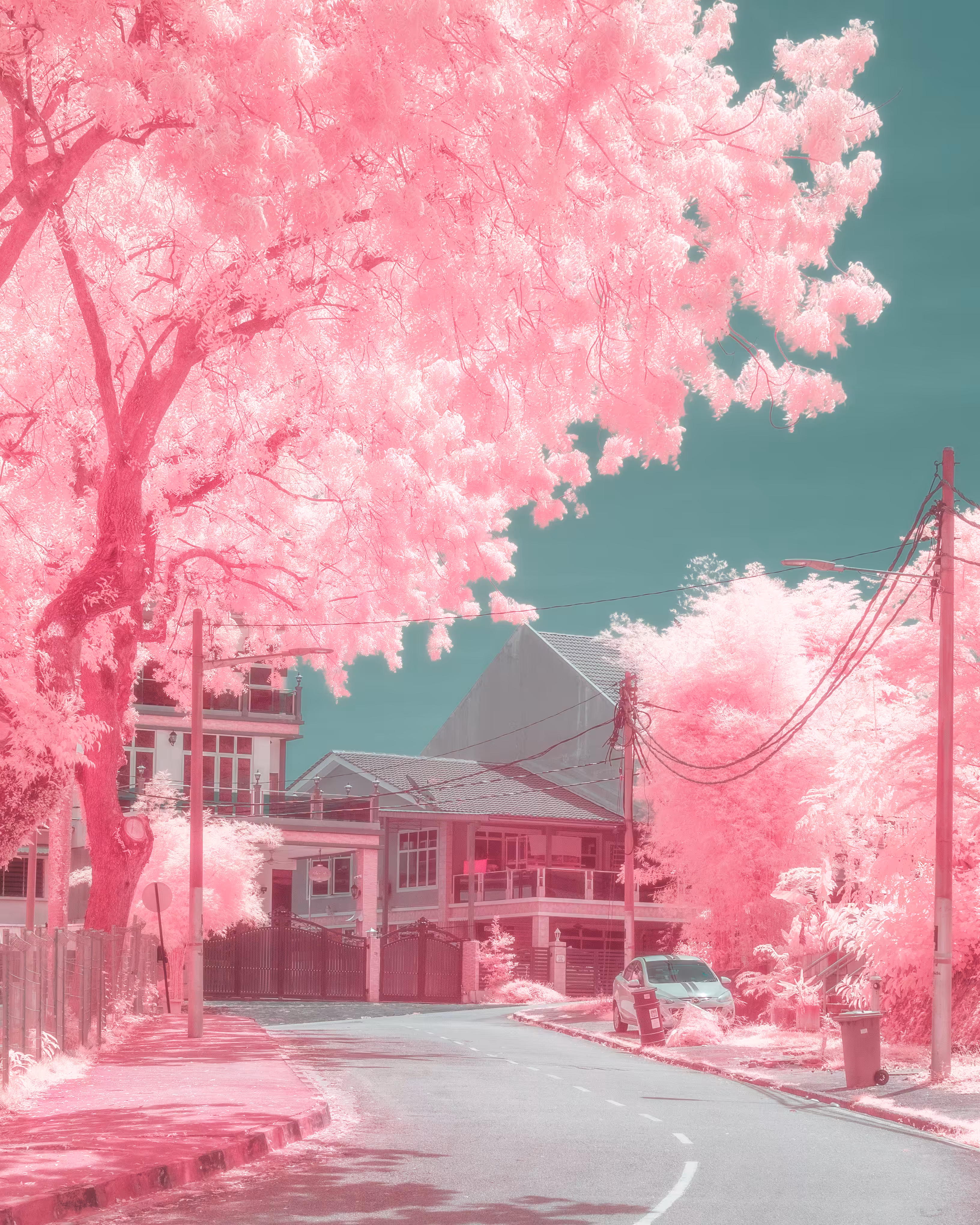 Sunny Afternoon