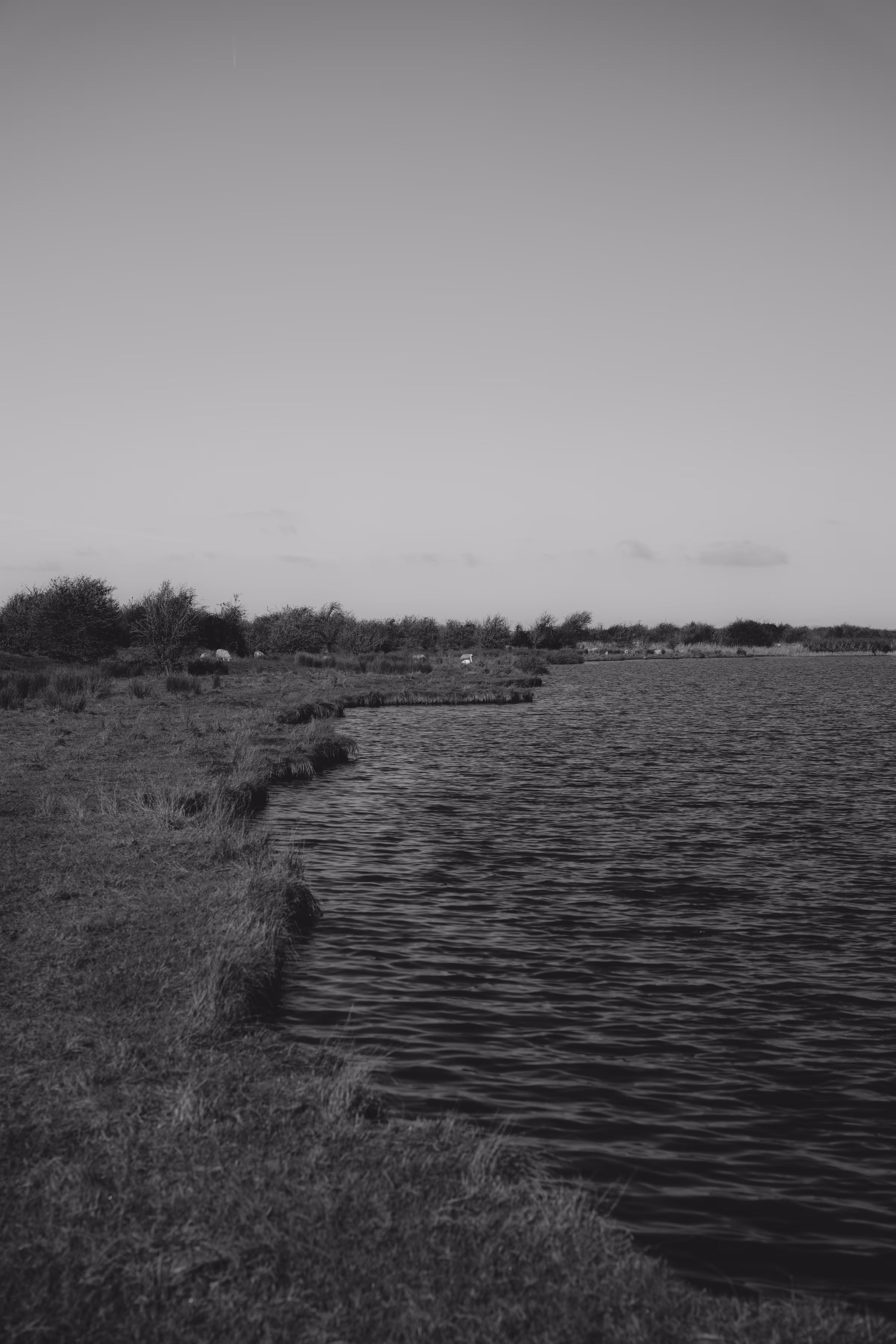 Walks along the lake