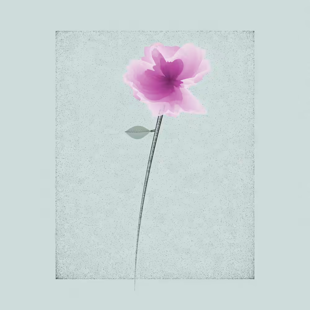 Magnolia #35
