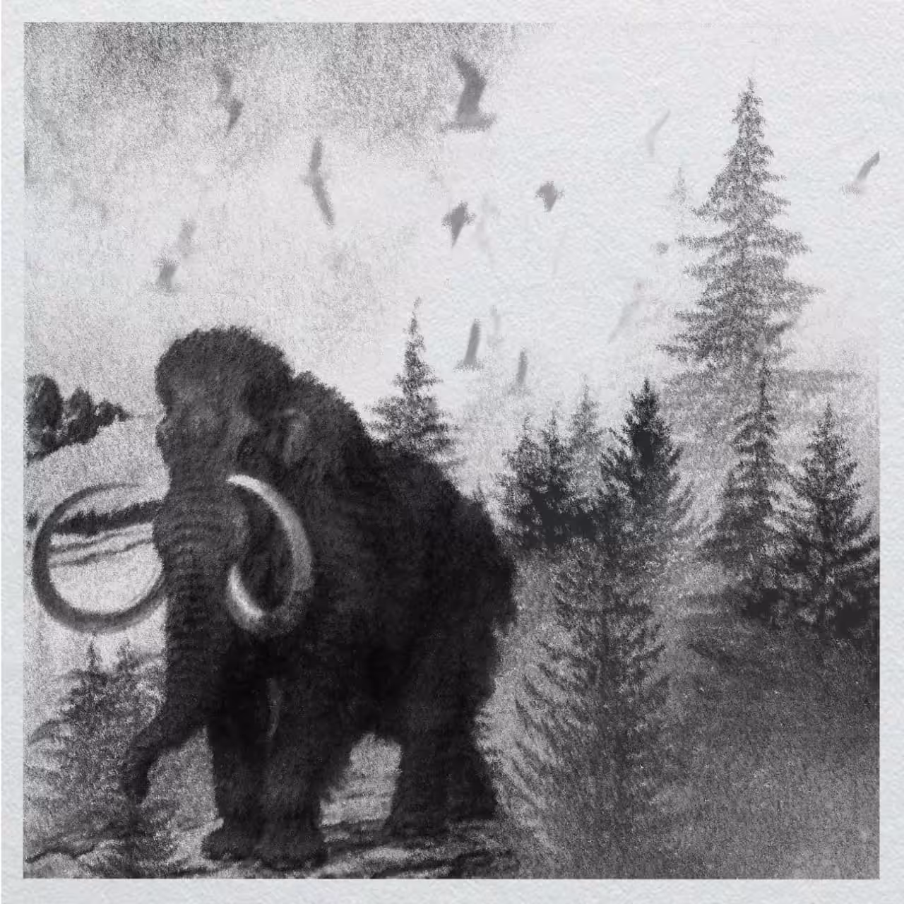 The Last Mammoth on Earth