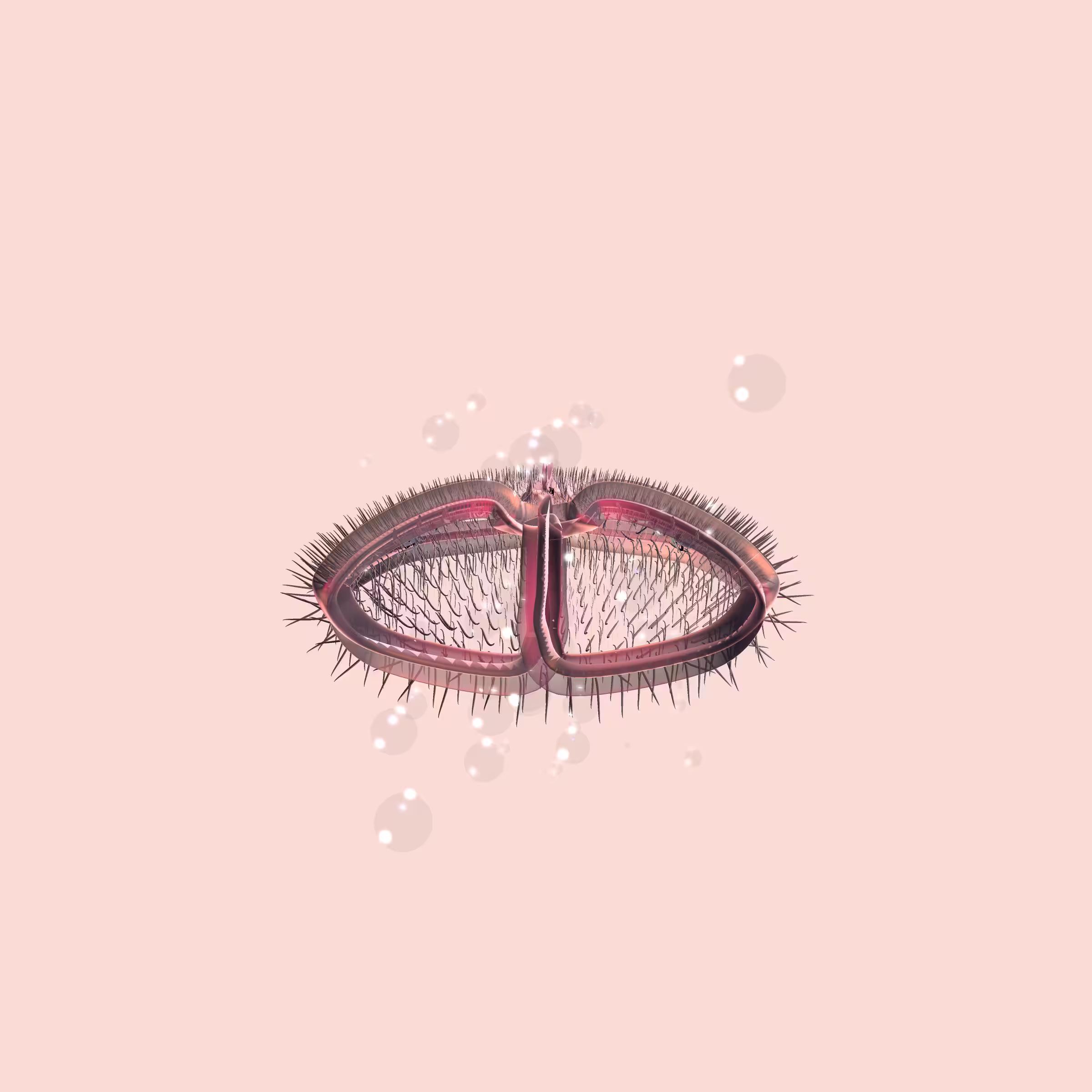 Lycorises #96