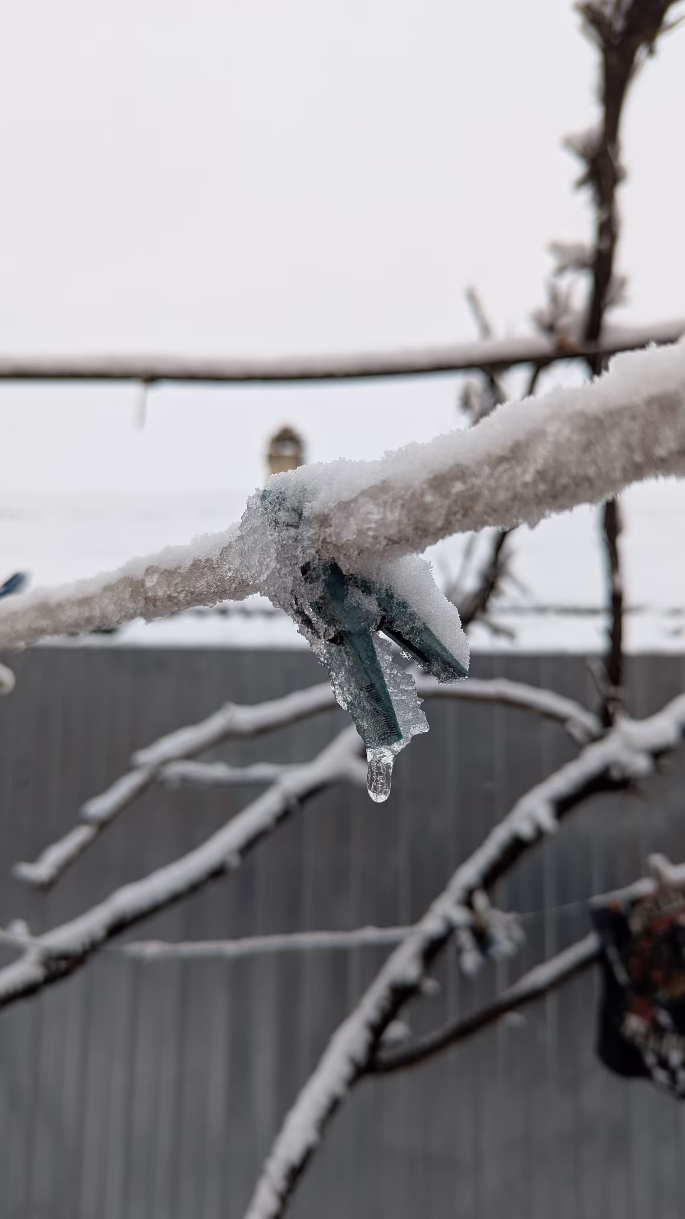 Winter Silence · 2022-2025