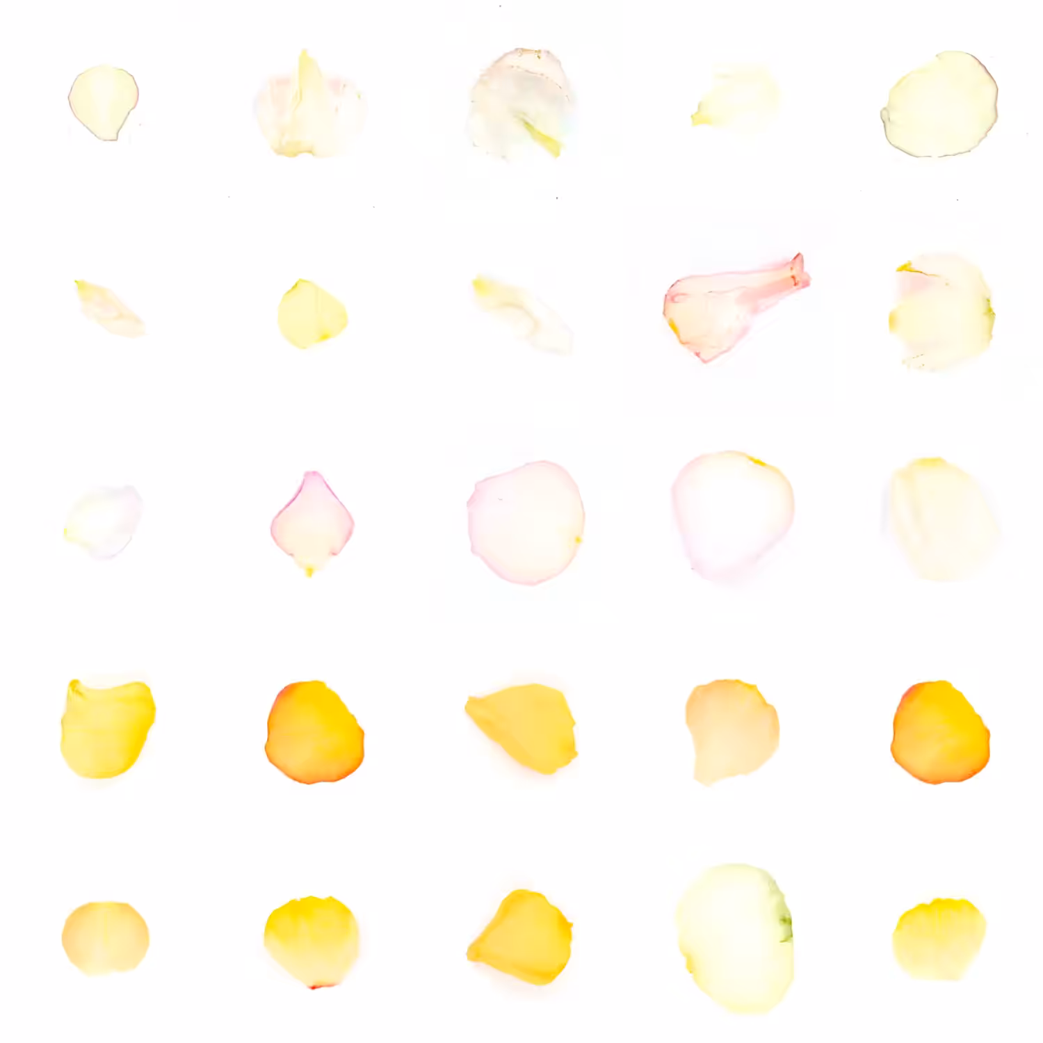 Infinite Petals 5x5#20678