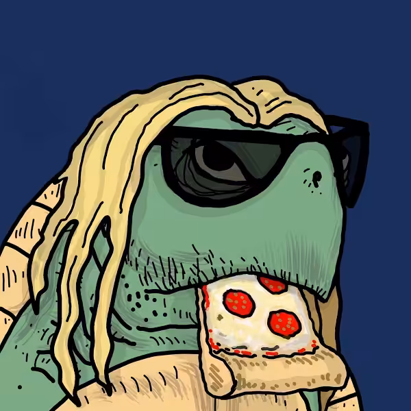 HYPEMAN X TURTLEHEDZ 