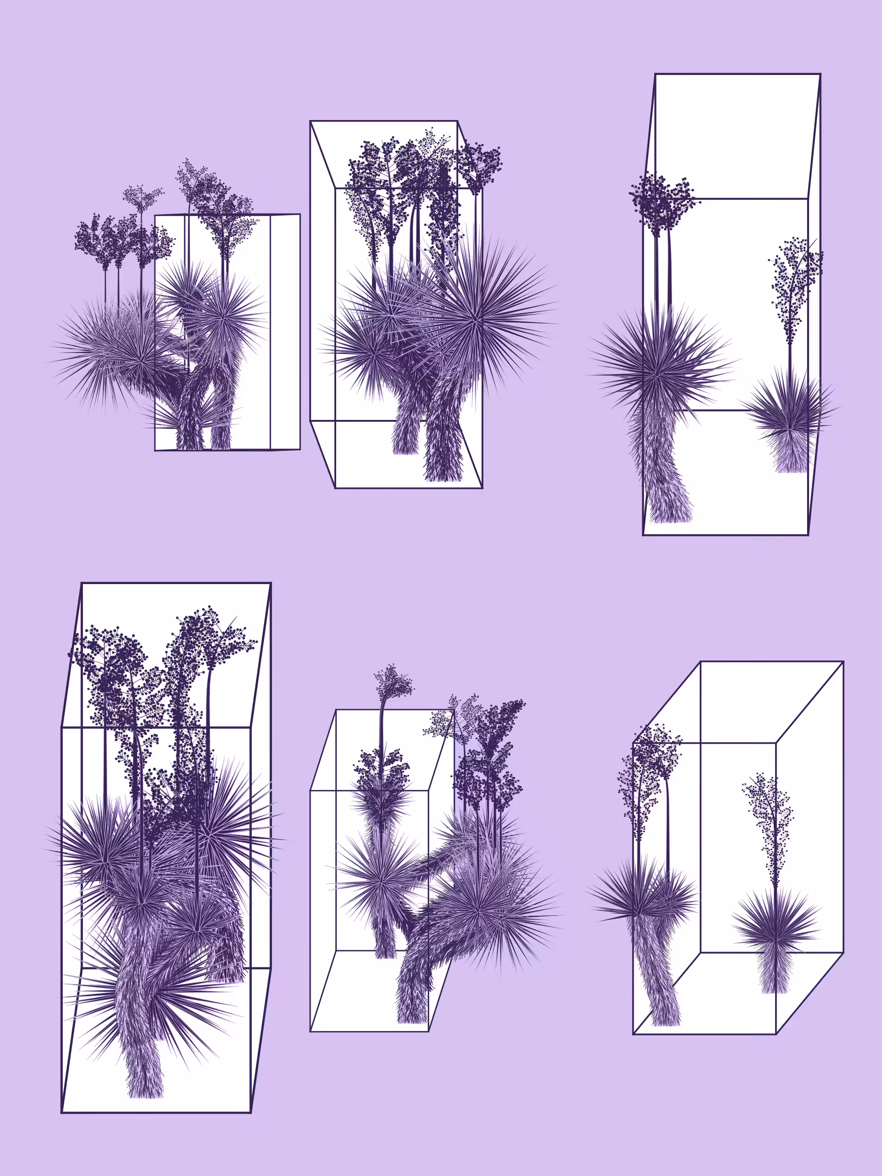 Marfa Yucca #124