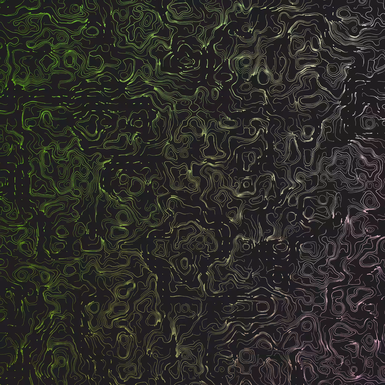 Topographic Lines #25