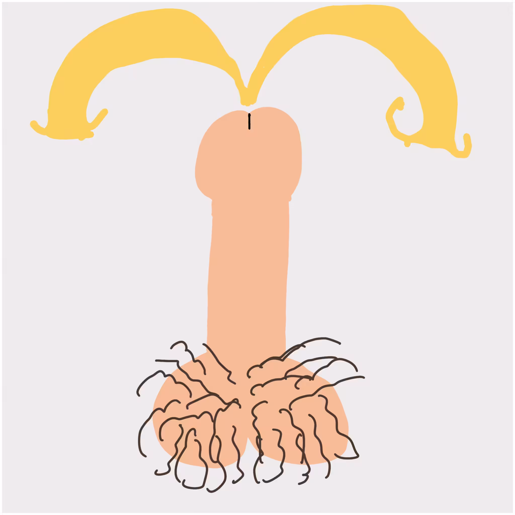 Dickgenerative Art #24