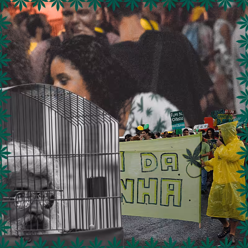 marijuana march #81