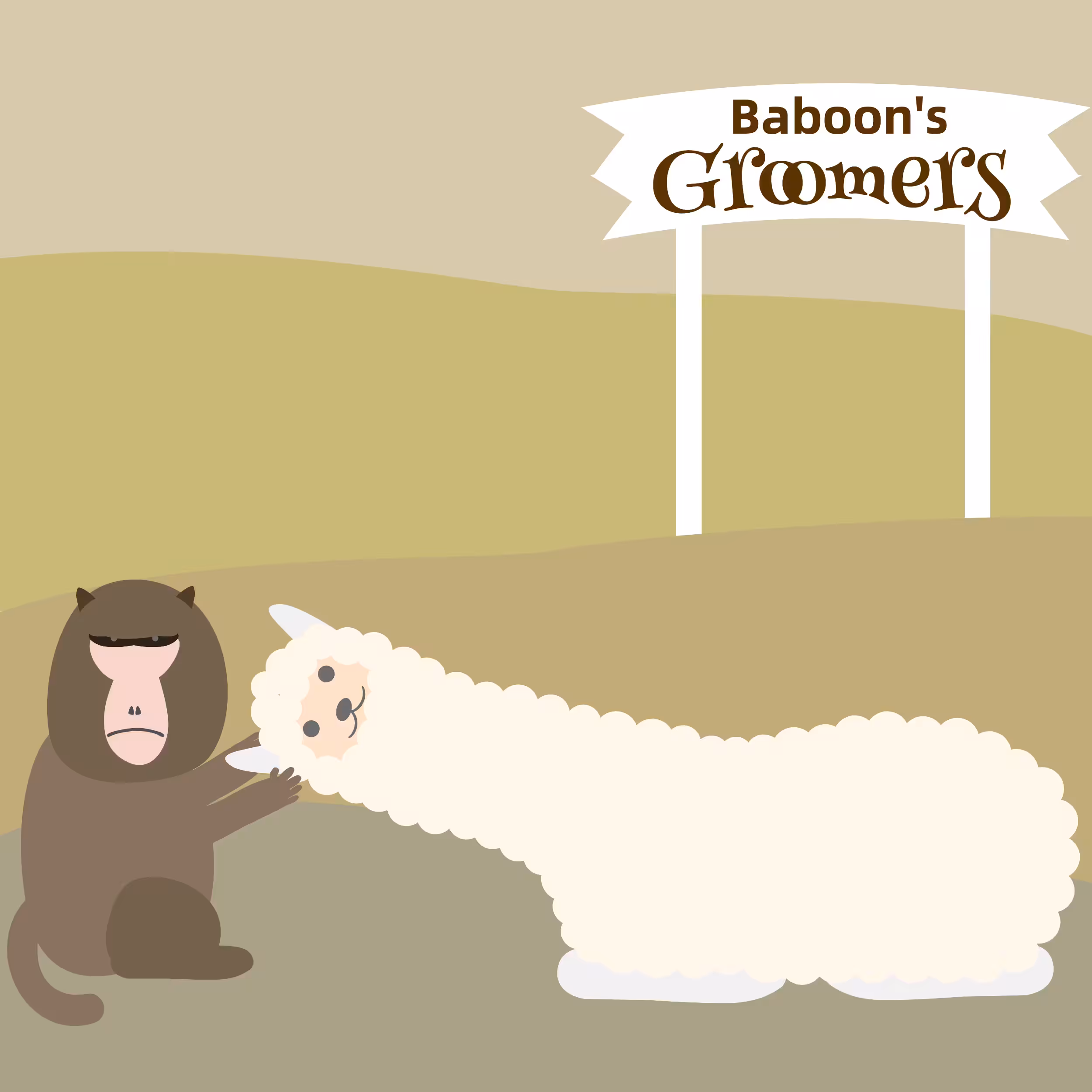 Baboon the Groomer