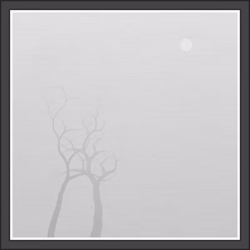 The Foggy Trees #40