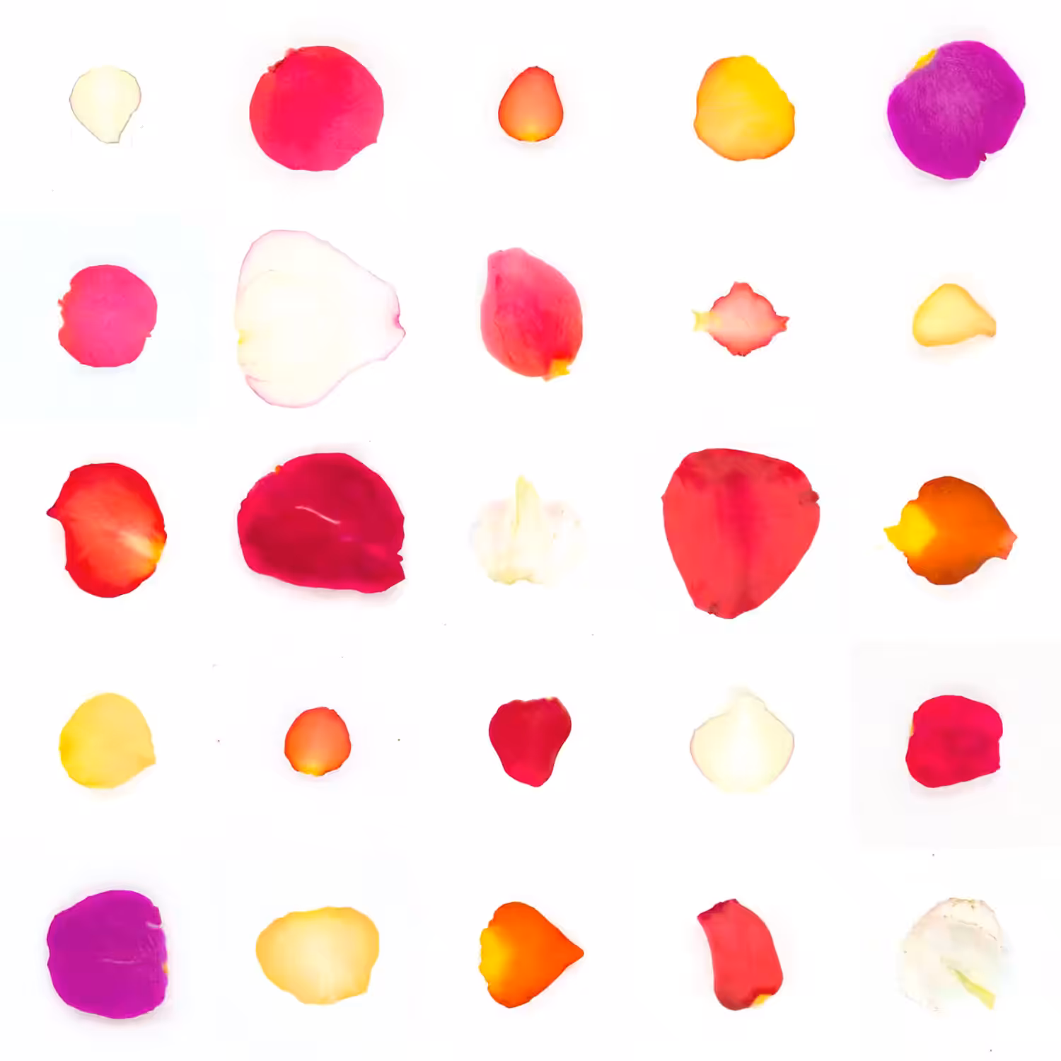 Infinite Petals 5x5#417