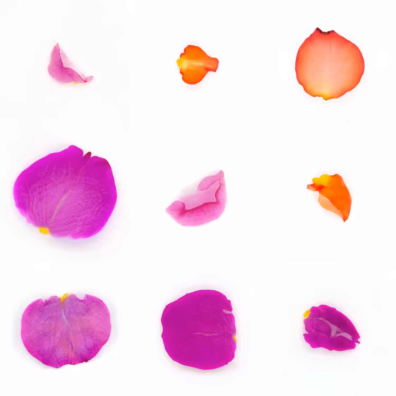 Infinite Petals 3x3#1663