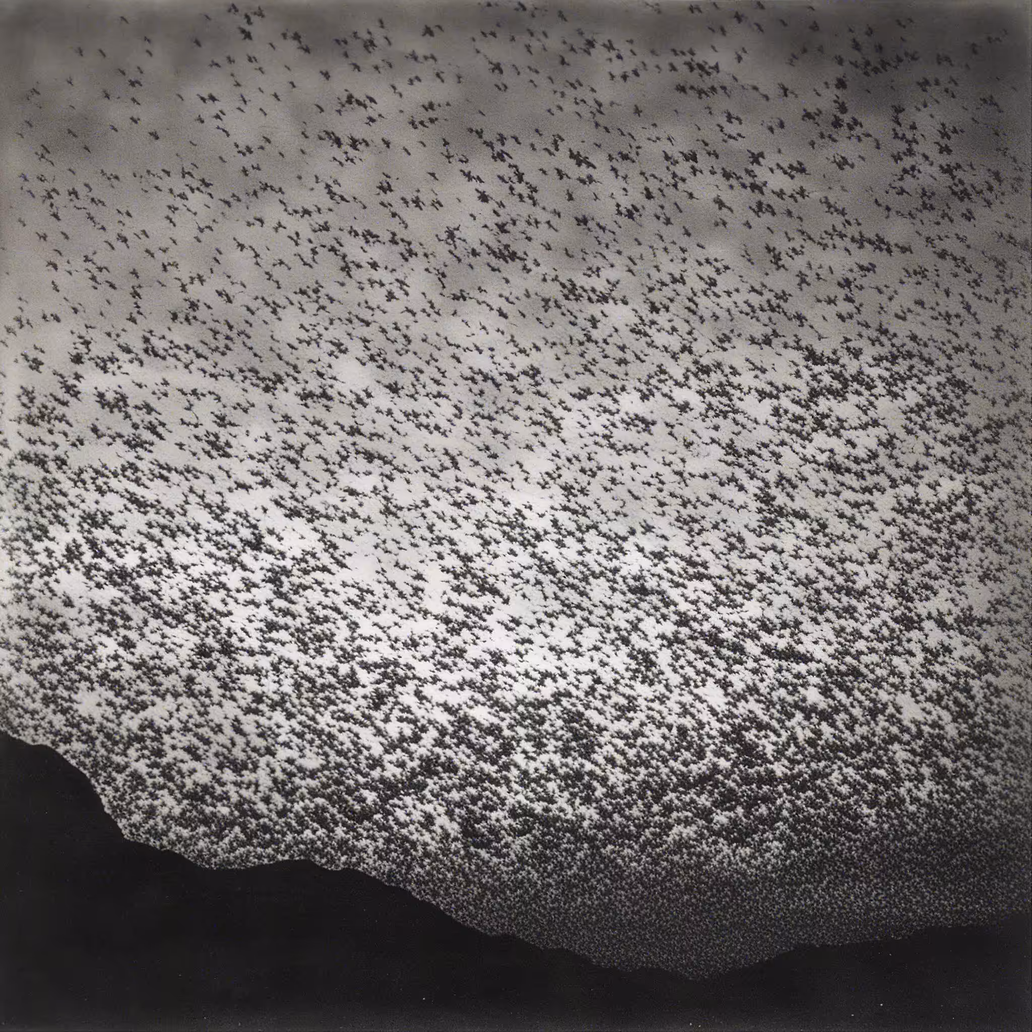 Paradox Post-Photography 051