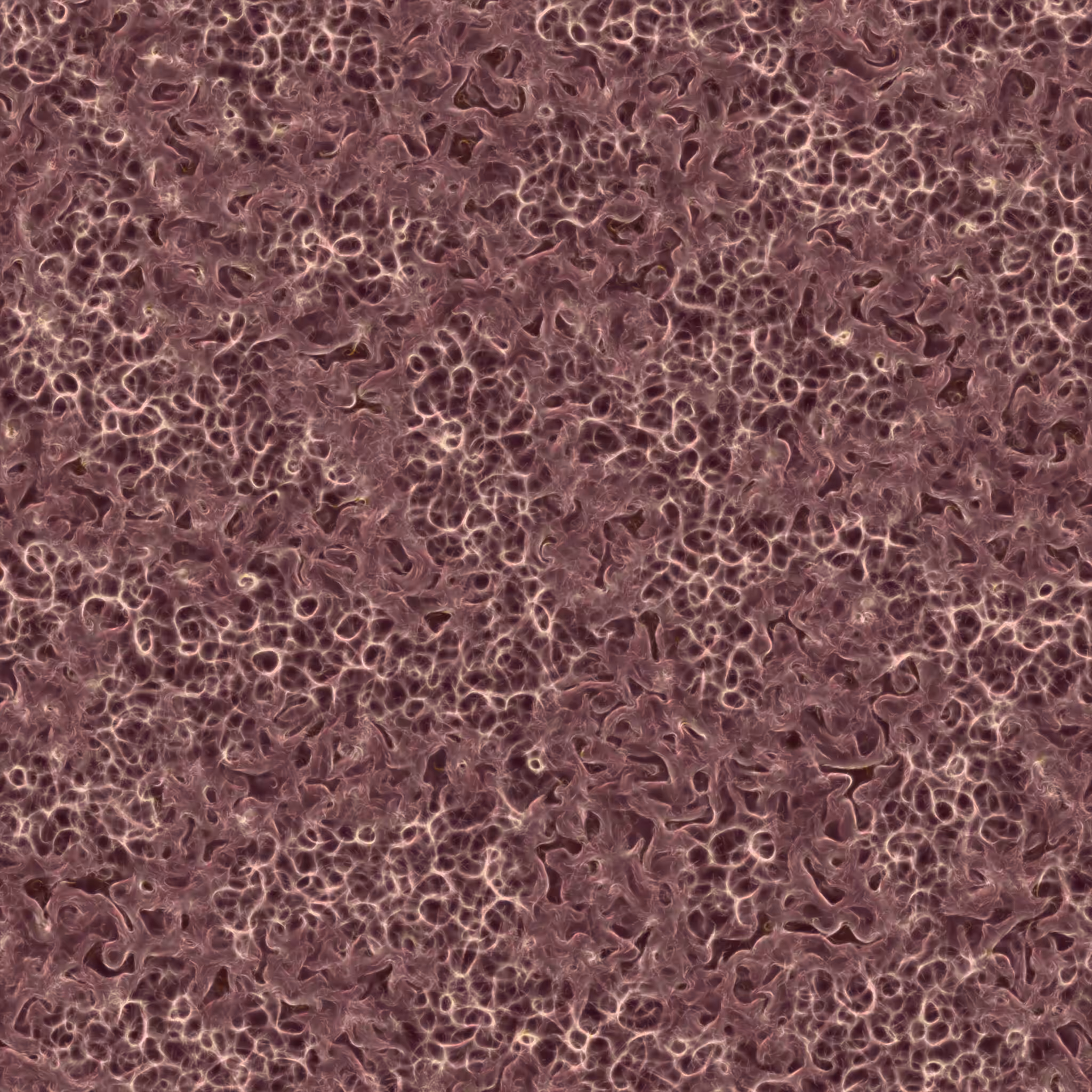 saprophyte #224
