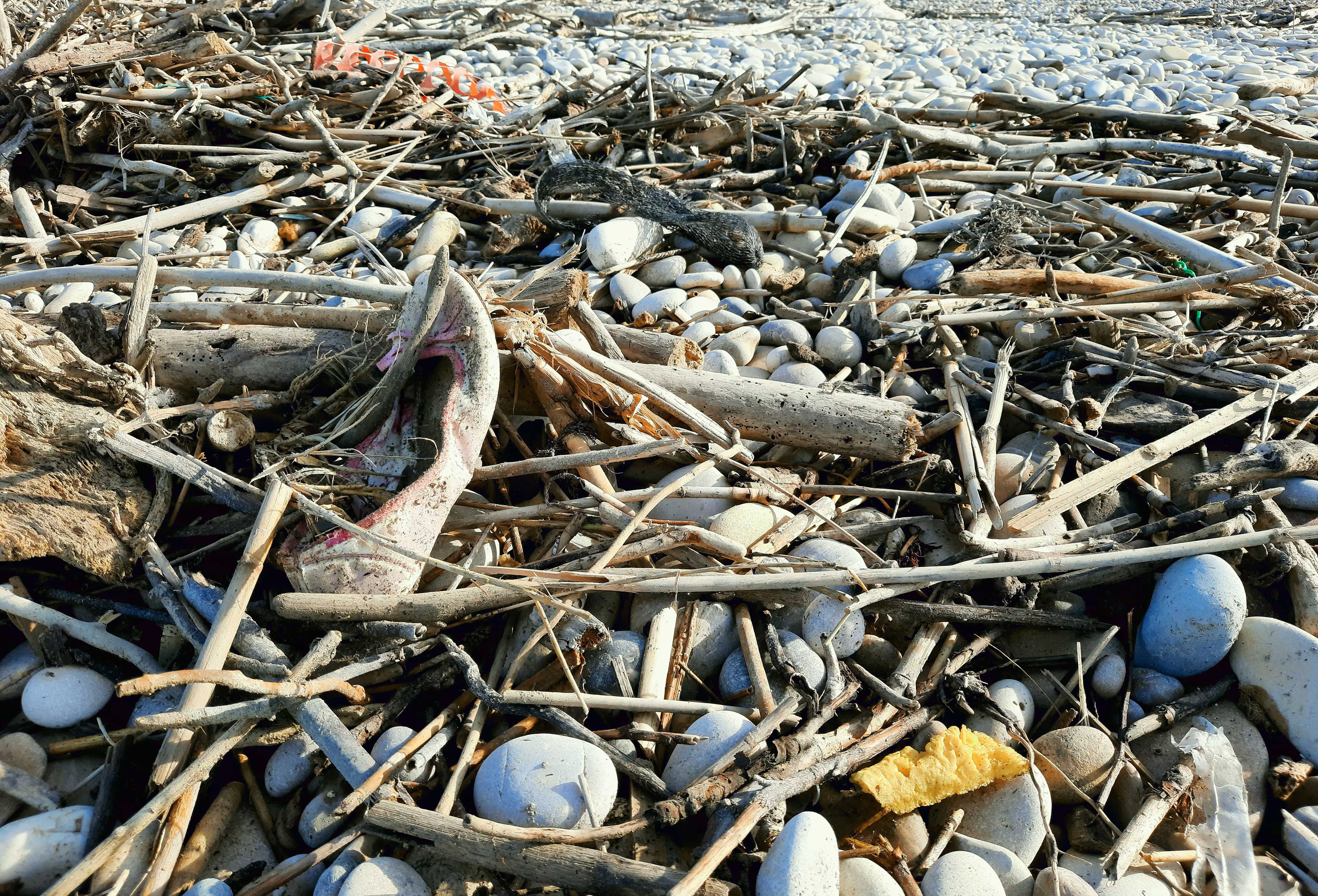 PERIODO PLASTICO #39