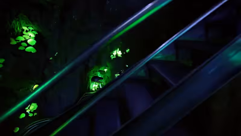 DX01: SINGULARITY 17650