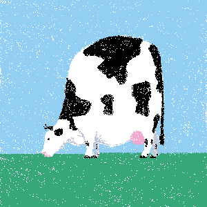cow #100