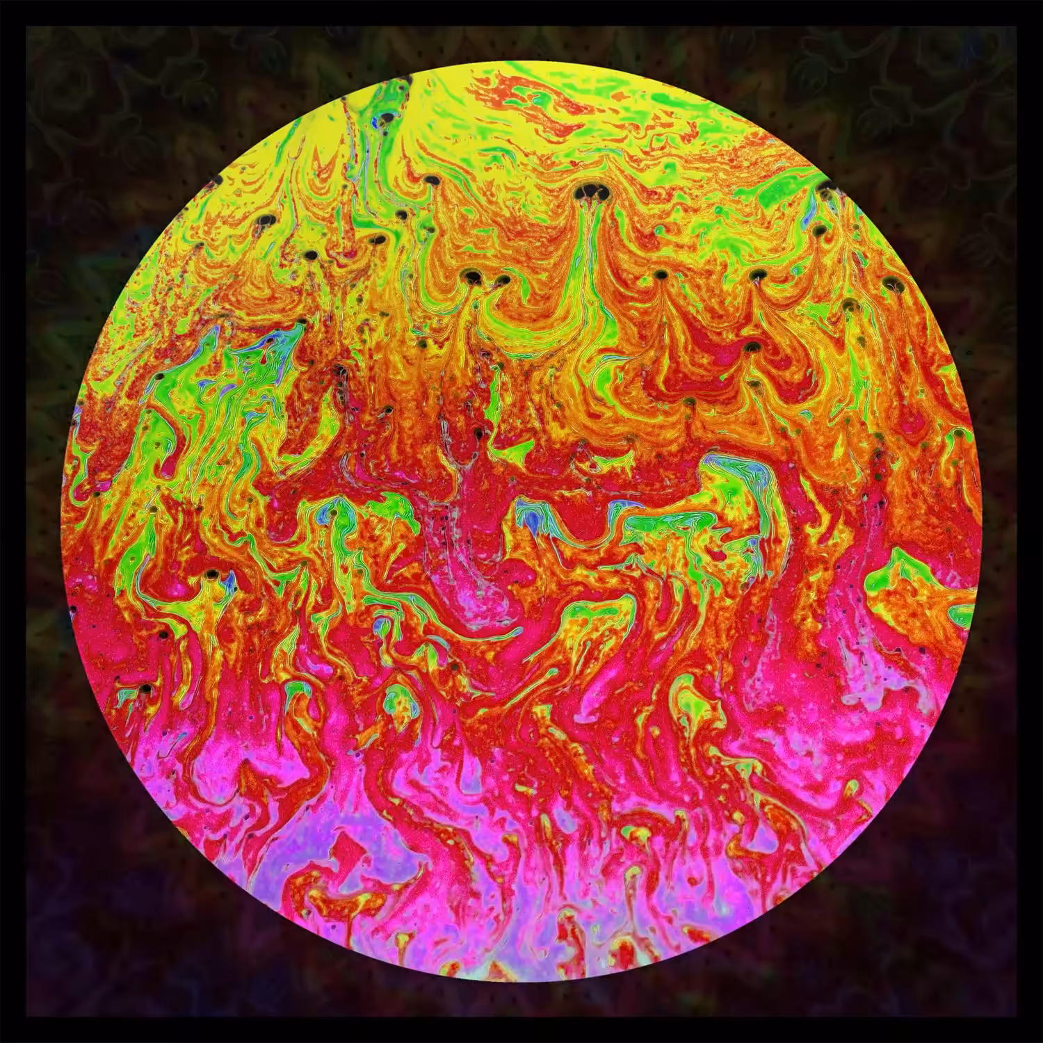 Undiscovered Colors #025