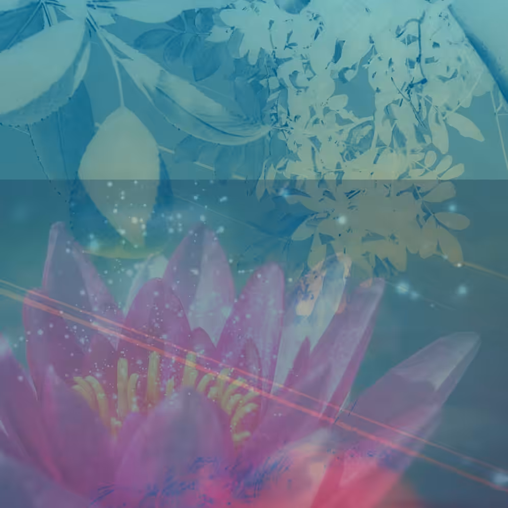 Jewel Lotus