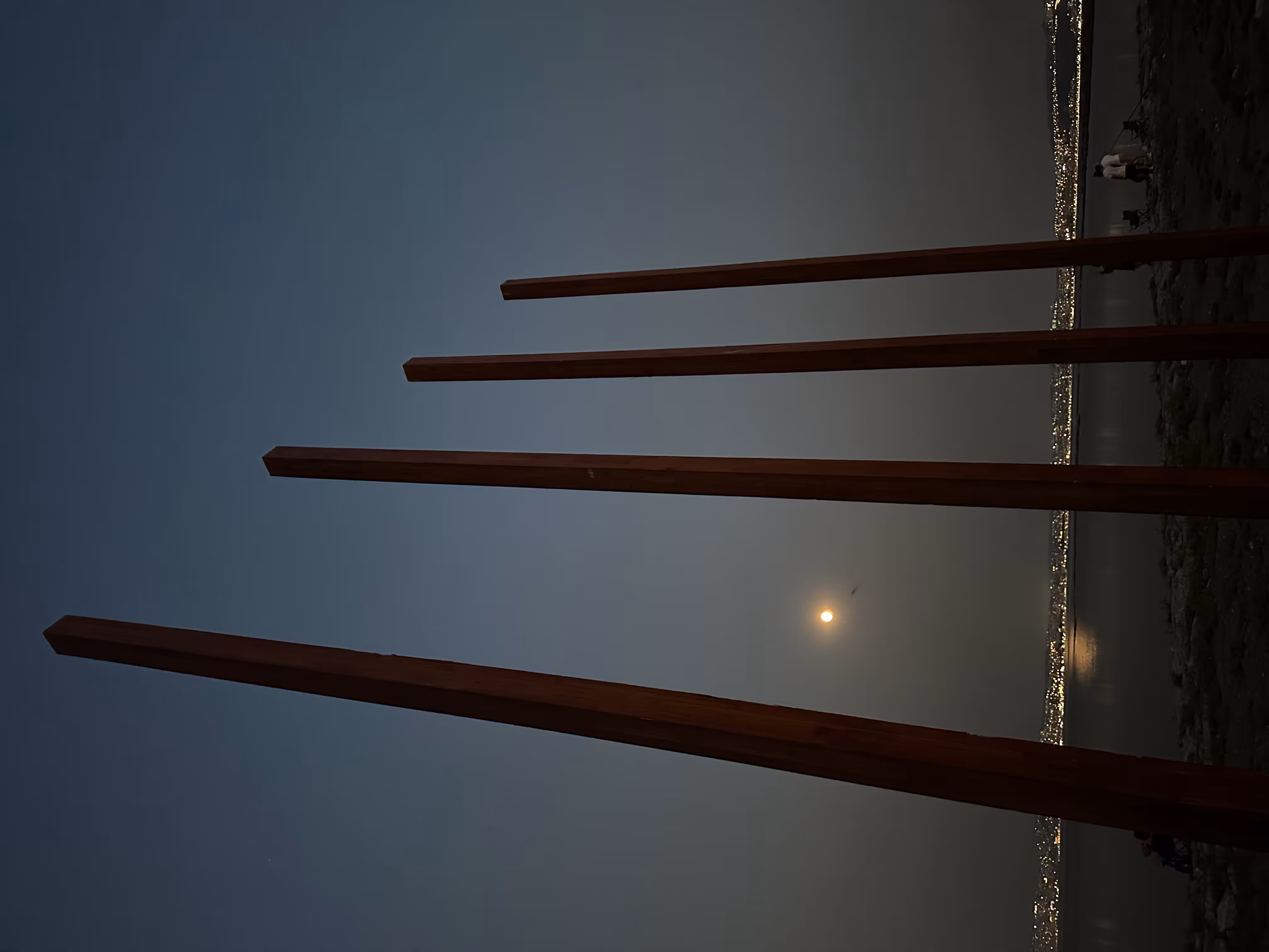 Silent Sentinels Under the Moon