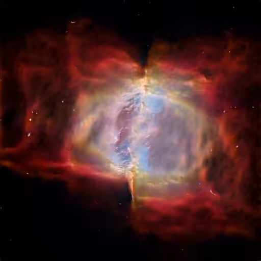 Nebula Does Not Exist #732-9782