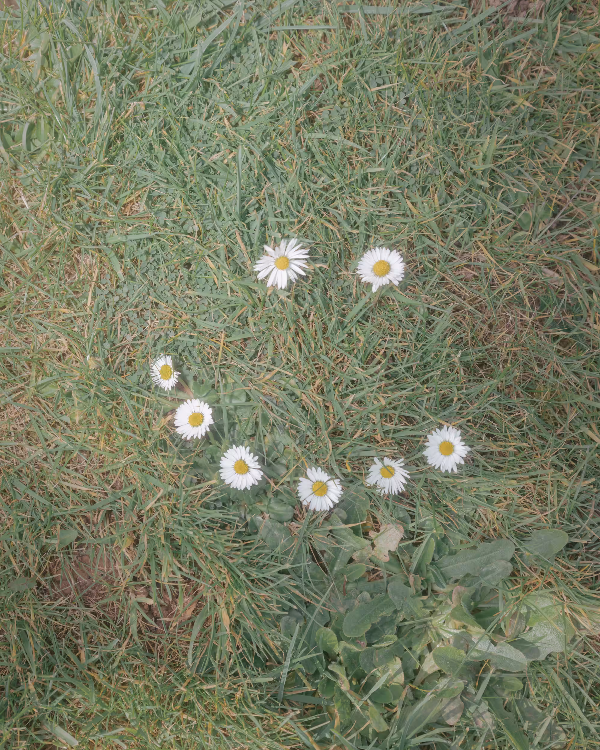 PhotoFilePhrens Vol.1: PhotoFilePhrens #47