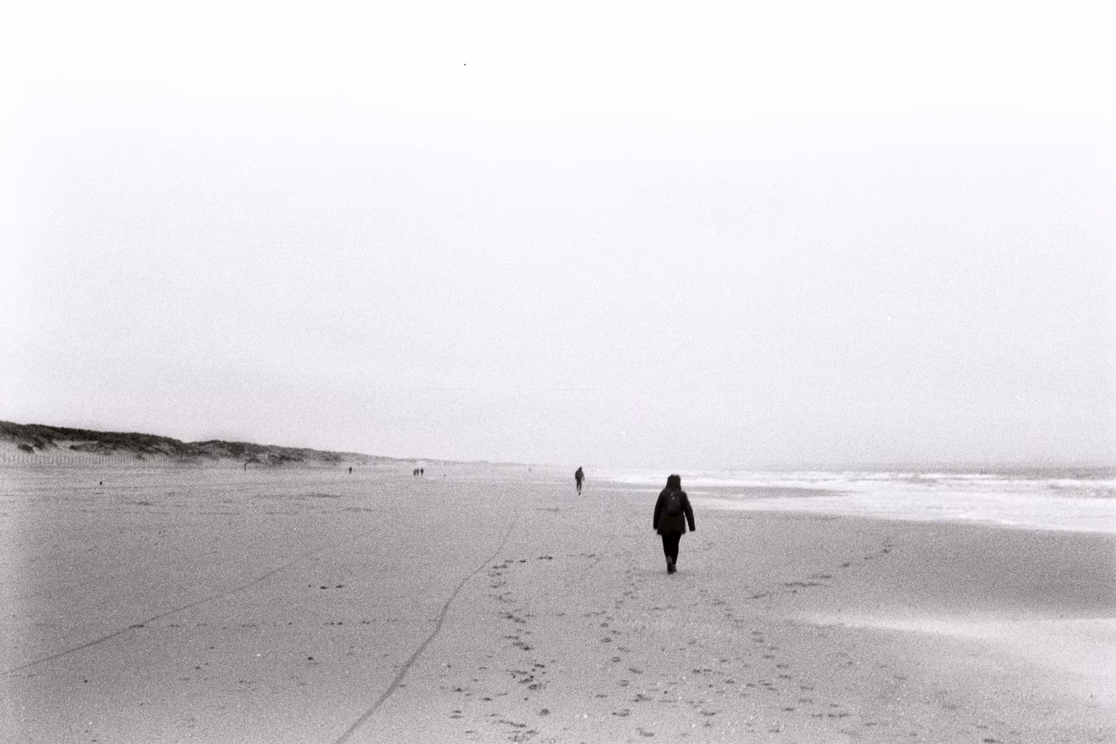 Elysian beach