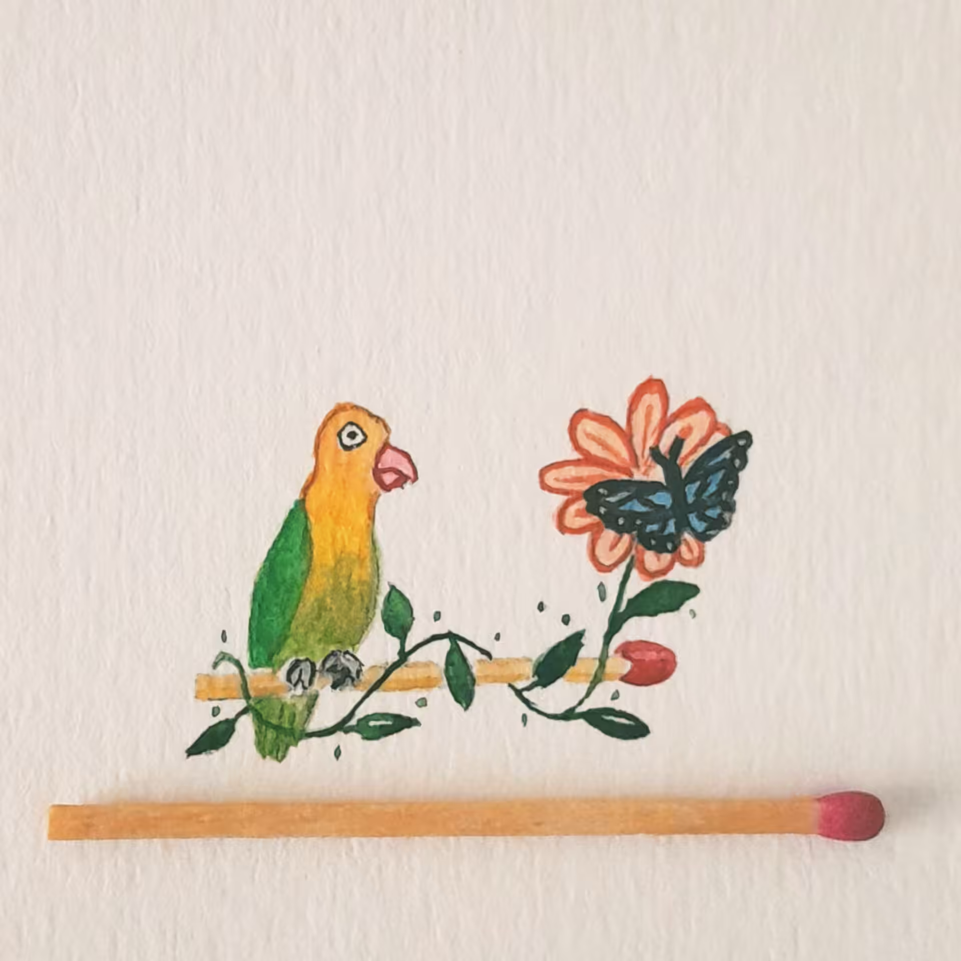 Parrot 5
