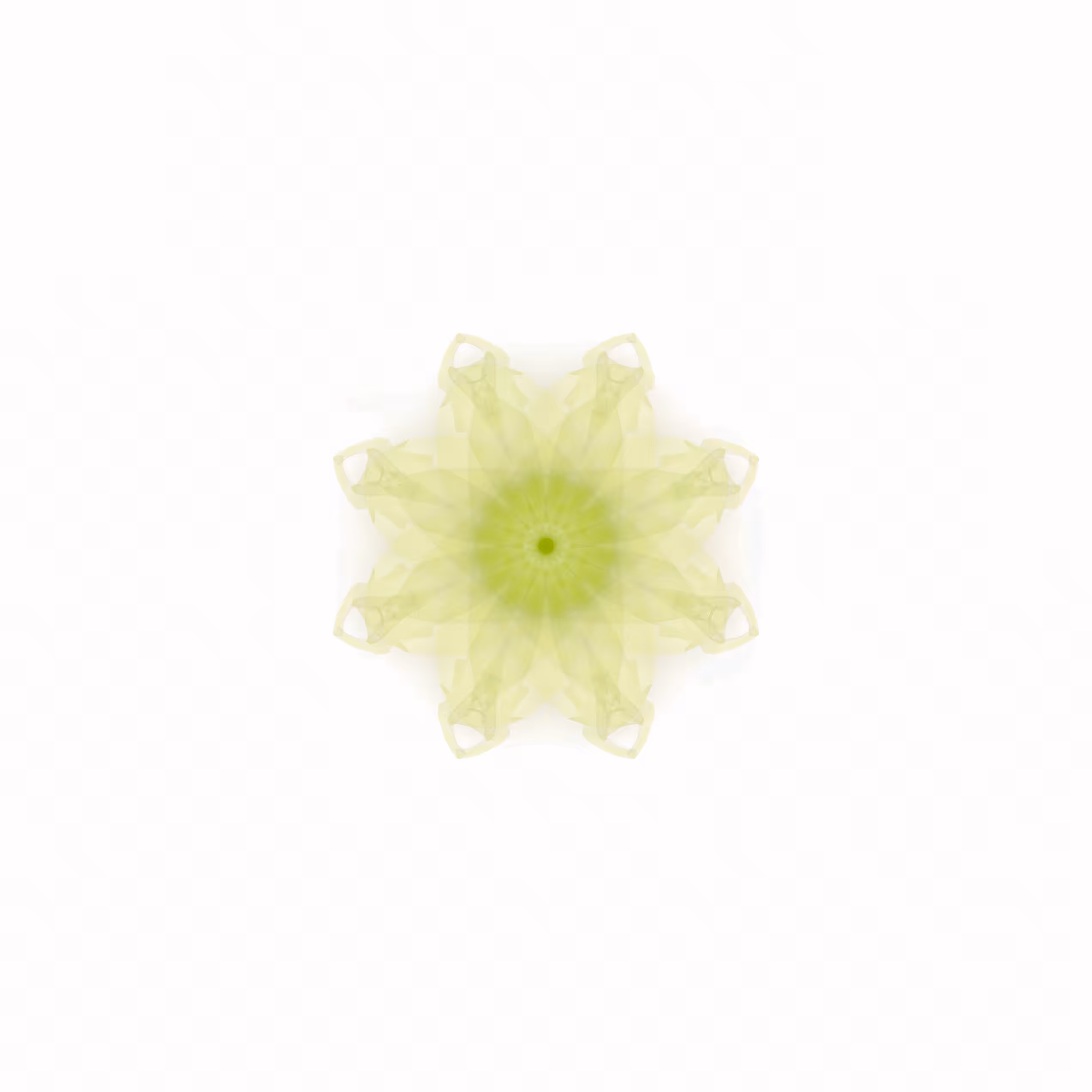 Fractal #10/10 (Pea)
