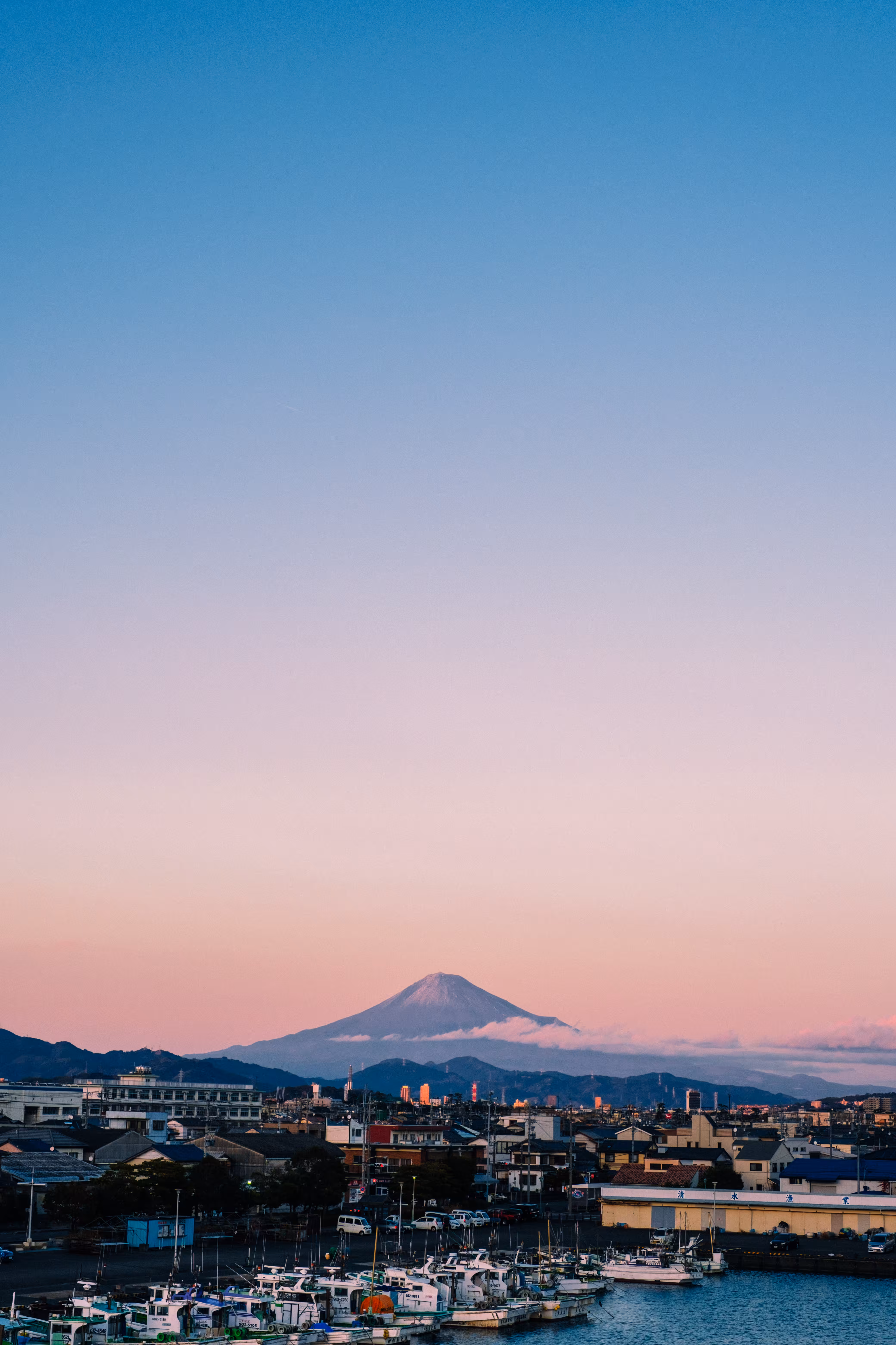 Mt. Fuji on New Year Holiday