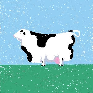 cow #213