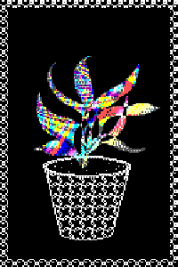 Dreamroot